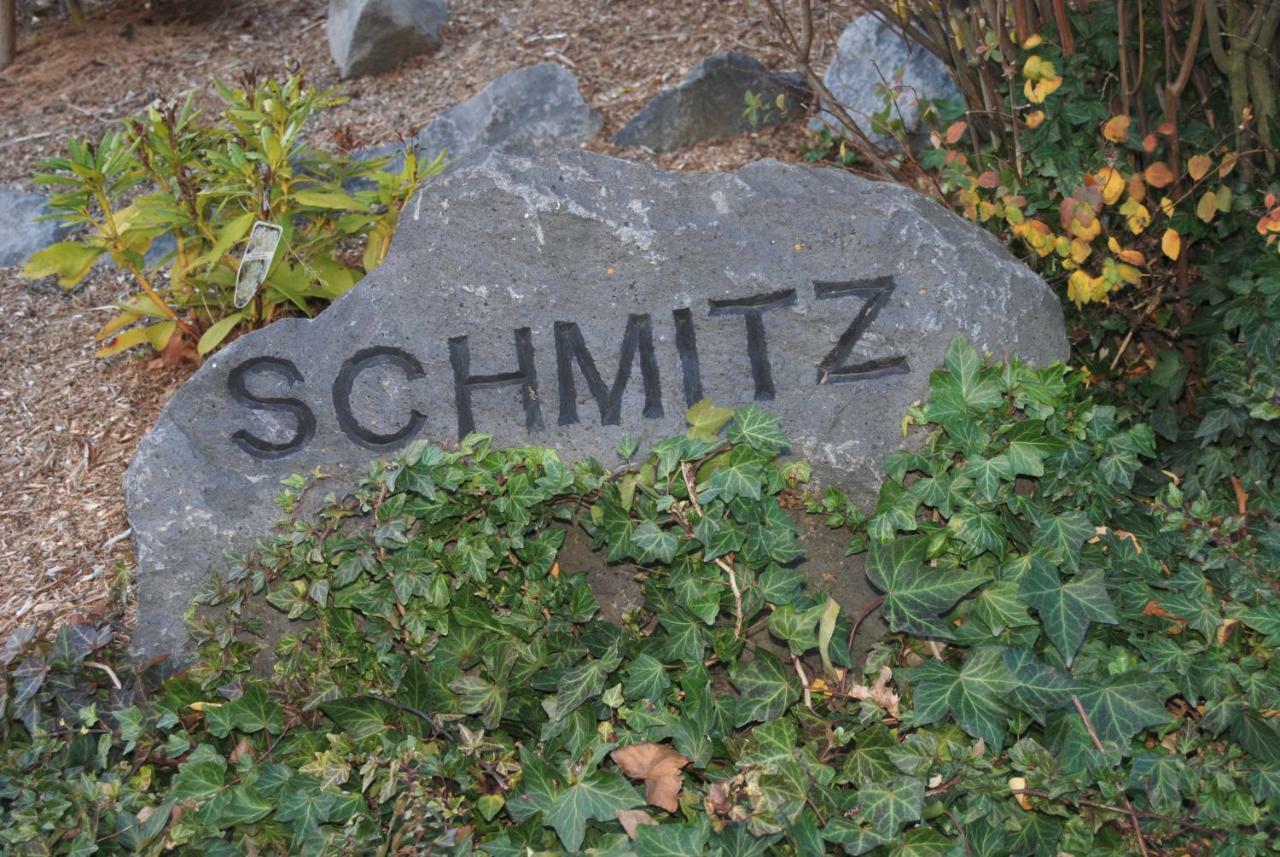 Ferienwohnung Schmitz Anschau Exterior foto